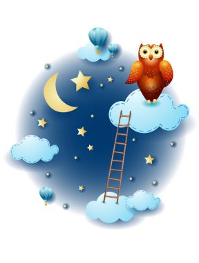 Bulutlu, merdivenli ve baykuşlu gece manzarası. Fantezi illüstrasyon vektörü ep10