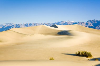 soba borusu kuyuları kum tepeleri, ölüm Vadisi np, Kaliforniya, ABD