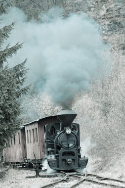 Buhar treni, Ciernohronska Demiryolu, Slovakya