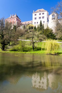 opocno Sarayı, Çek Cumhuriyeti