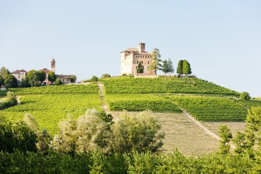 rinzane cavour Kalesi ile bağ, piedmont, İtalya