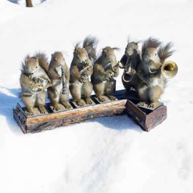 Sincap grubu musican