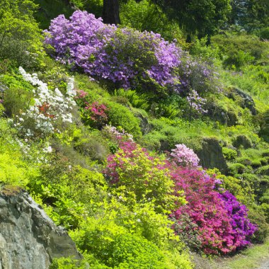 Pruhonice park, Çek Cumhuriyeti