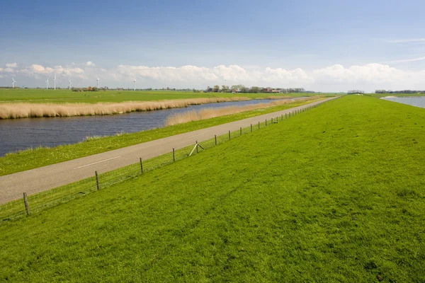 Chemin par la rivière — Photo