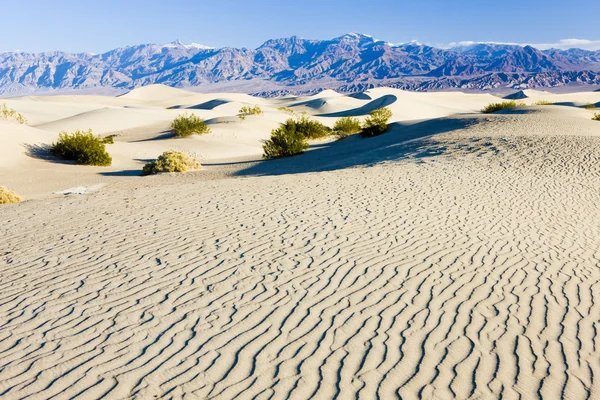 Stovepipe Wells sand dunes, Death Valley NP, California, Estados Unidos — Foto de Stock