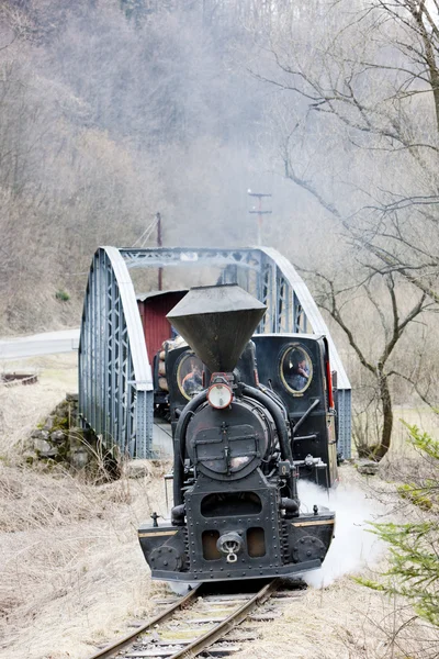 Buhar treni, Ciernohronska Demiryolu, Slovakya — Stok fotoğraf