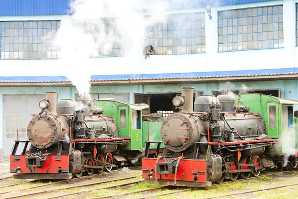 Locomotive a vapore in deposito, Kostolac, Serbia — Foto Stock