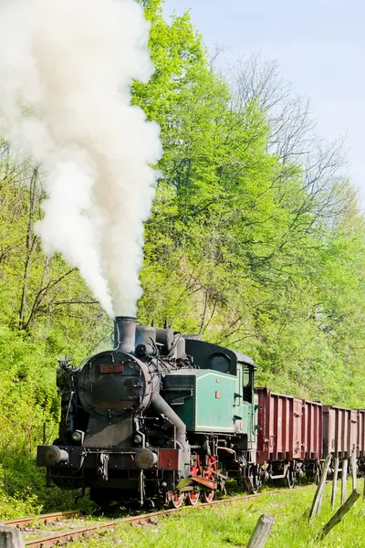 Dampflokomotiven, Kostolac, Serbien — Stockfoto