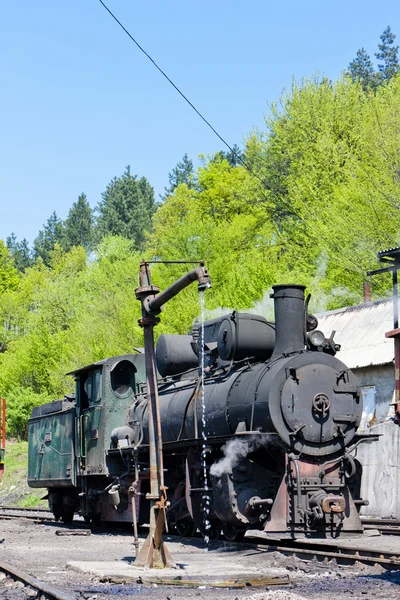 Steam lokomotywy, kostolac, serbia — Zdjęcie stockowe