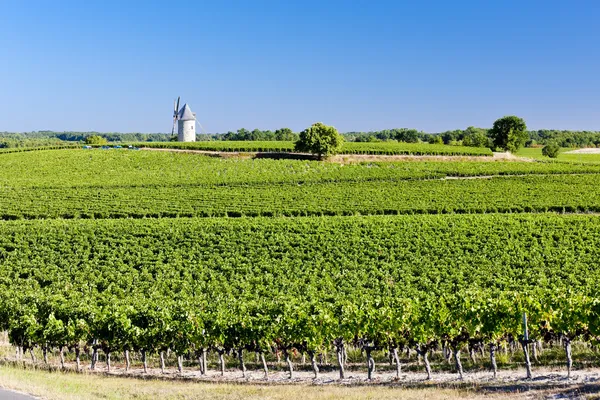 Chateau de Rully med vingårdar, Bourgogne, Frankrike — Stockfoto