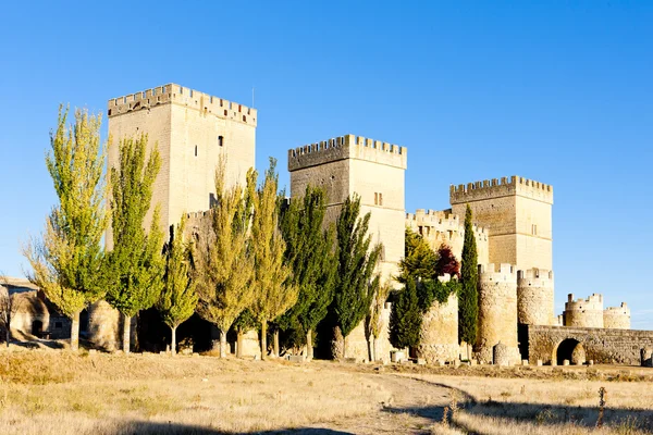 Castello di Almoural, Ribatejo, Portogallo — Foto Stock