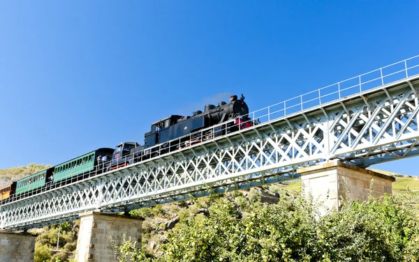 蒸汽火车在葡萄牙杜罗河谷 — 图库照片
