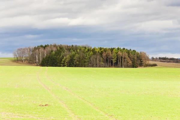 Autumn landscape, Czech Republic — Stock Photo, Image