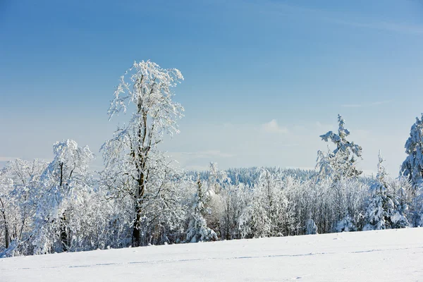 Paesaggio invernale, Repubblica Ceca — Foto Stock