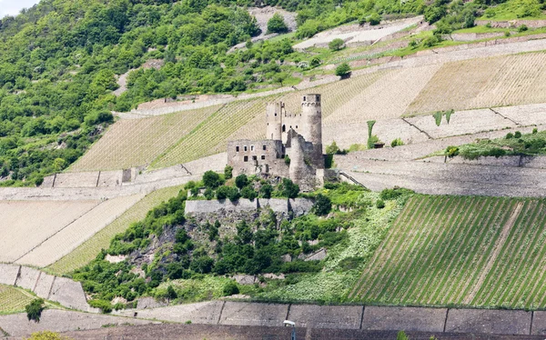 Cesky Sternberk castle — Stock Photo, Image