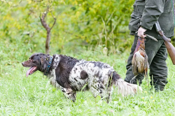 Hunter with a dog at hunt — Stock Photo, Image