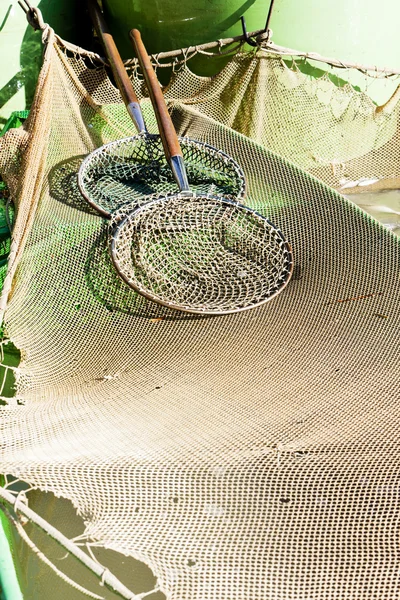 Landing nets — Stock Photo, Image