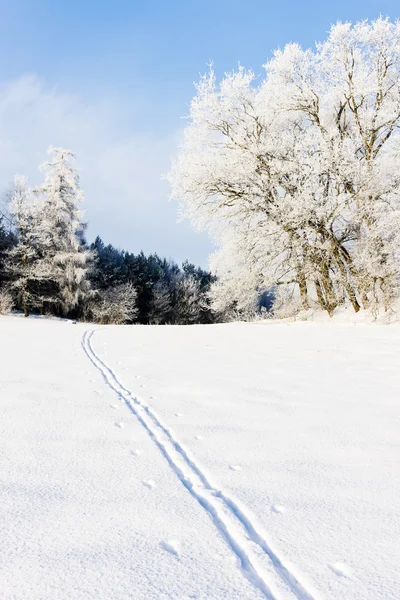 Winter landscape, Czech Republic — Stock Photo, Image