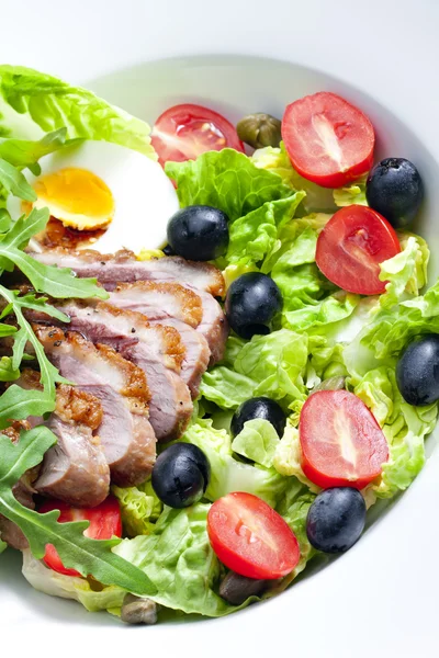 Vegetable salad with fried duck breast slices and egg — Stock Photo, Image