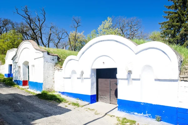 Bodegas, Petrov - Plze, República Checa —  Fotos de Stock