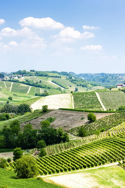 Виноградники вблизи города Озеско, Италия — стоковое фото