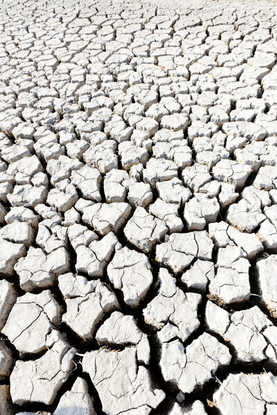 dry land, Parc Regional de Camargue, Provence, France