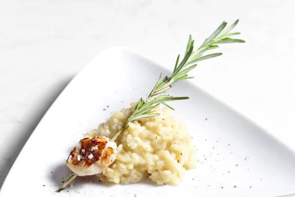 Grilled Saint Jacques mollusc on rosemary needle with risotto — Stock Photo, Image