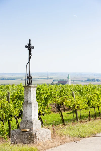 Viñedo cerca de Unterretzbach, Baja Austria, Austria —  Fotos de Stock