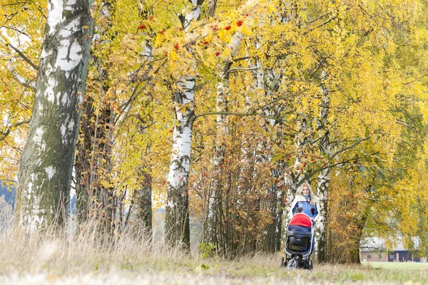 Vrouw met een kinderwagen op wandeling in de herfst natuur — Stockfoto