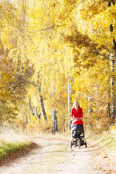 Mother and her daughter with a pram on walk in autumnal alley — Stock Photo, Image