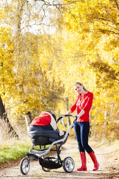 Mother and her daughter with a pram on walk in autumnal alley — Stock Photo, Image