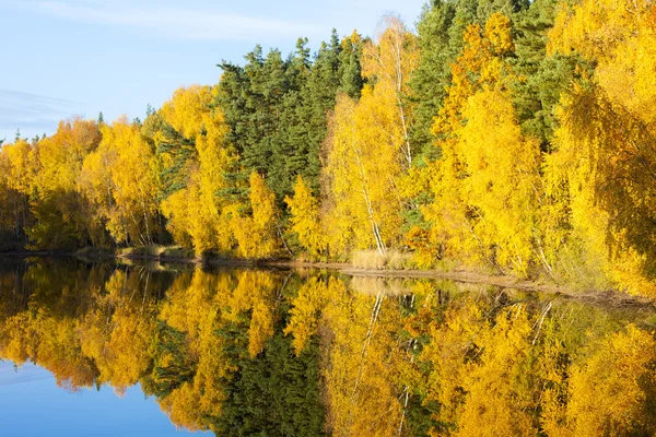 Podzimní rybník, Česká republika — Stock fotografie