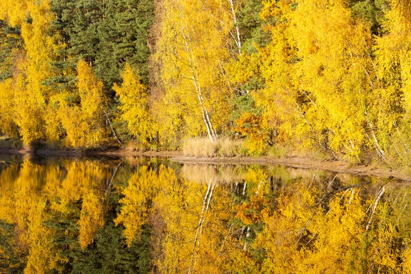 Autumnal pond, Czech Republic — Stock Photo, Image