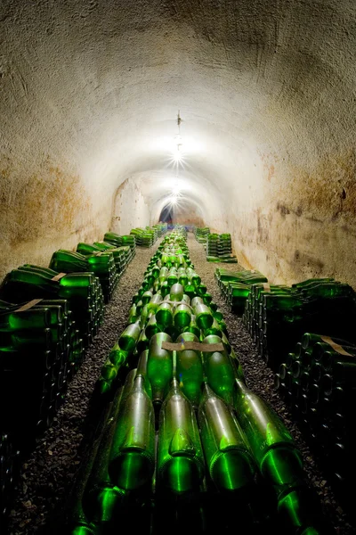 Beautiful photo of a wine cellar with barrels in stacks — Stock Photo, Image