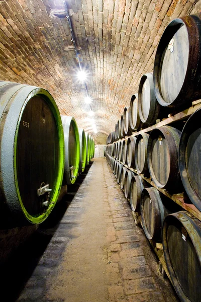 Mooie foto van een wijnkelder met vaten in stapels — Stockfoto