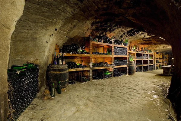 Bodega con barricas de vino — Foto de Stock