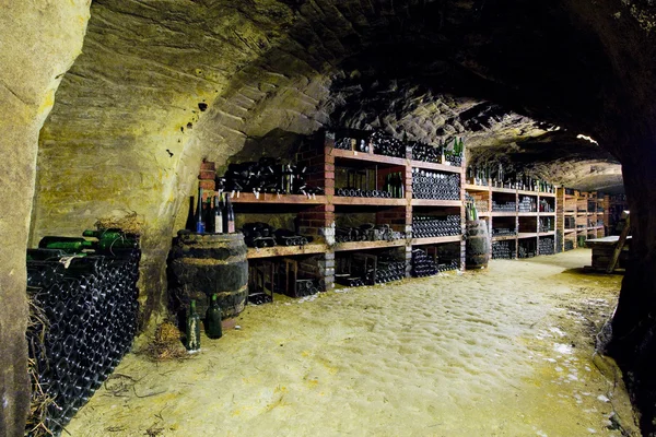 Beautiful photo of a wine cellar with barrels in stacks — Stock Photo, Image