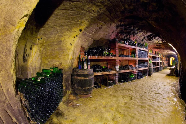 Adega com barris de vinho — Fotografia de Stock