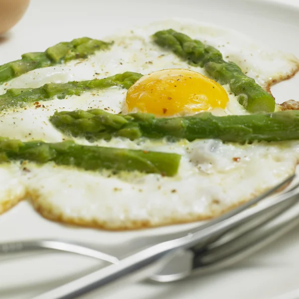 Primer plano de pollo con arroz, pimientos cortados y sause —  Fotos de Stock