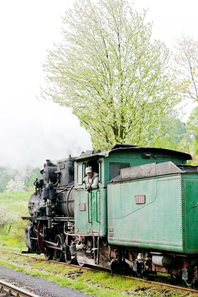 Steam locomotives, Kostolac, Serbia Stock Image