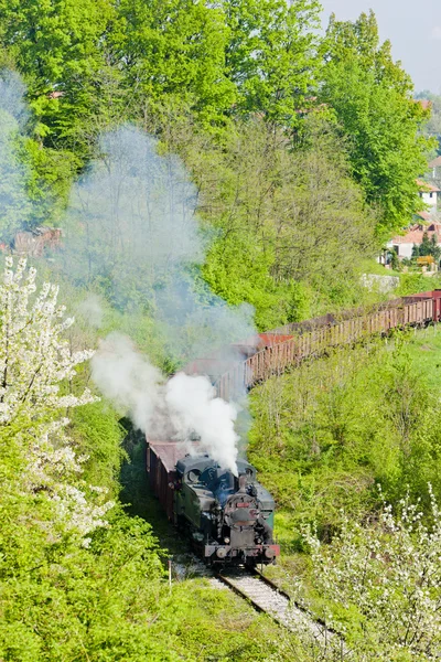 Steam locomotives, Kostolac, Serbia Stock Photo