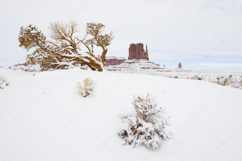 Winter The Mitten and Merrick Butte, Monument Valley National Park, Utah-Arizona, USA
