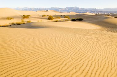 Stovepipe Wells sand dunes, Death Valley National Park, Californ clipart