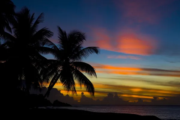 Tramonto sul Mar dei Caraibi, Spiaggia delle tartarughe, Tobago — Foto Stock