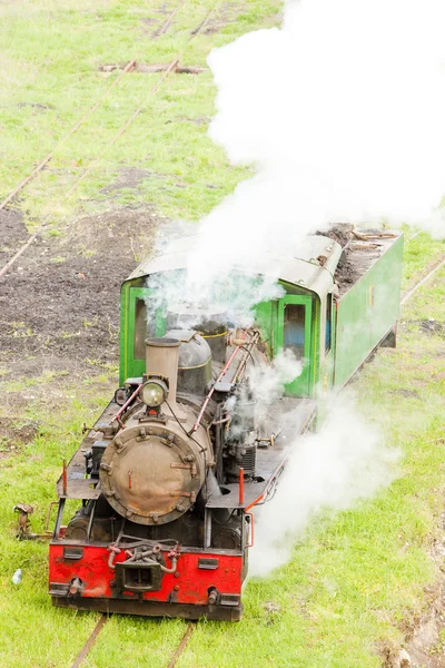 Ånga lok, kostolac, Serbien — Stockfoto