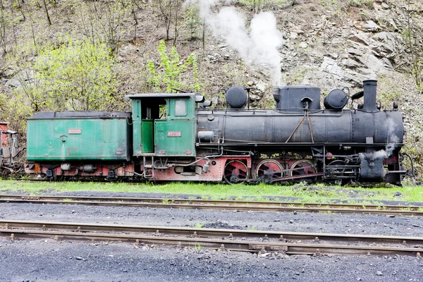 蒸気の貨物列車 oskova、ボスニア ・ ヘルツェゴビナでの配信ポイントします。 — ストック写真