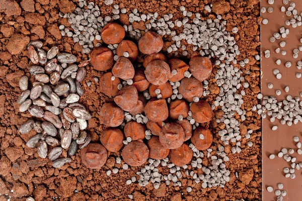 Chocolate truffles in cocoa — Stock Photo, Image