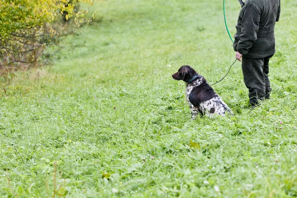 Мисливець зі своїм собакою полювання — стокове фото