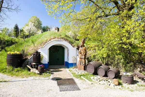 Bodegas, Petrov - Plze, República Checa —  Fotos de Stock