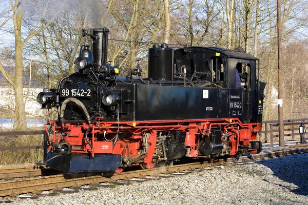 Dampfbahn, Oberwiesenthal - Kranzhal (Fichtelbergbahn), Deutschland — Stockfoto